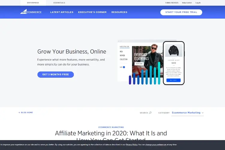 Affiliate Marketing